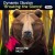 Buy Dynamic Illusion - Breaking The Silence Mp3 Download