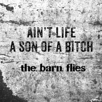 Purchase The Barn Flies - Ain't Life A Son Of A Bitch (CDS)