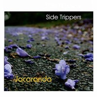 Purchase Side Trippers - Jacaranda