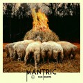 Buy Mantric - False Negative Mp3 Download