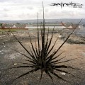 Buy Datach'i - Black Trees (EP) Mp3 Download