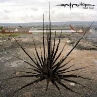 Purchase Datach'i - Black Trees (EP)