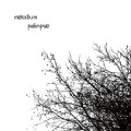 Buy Melodium - Palimpse Mp3 Download