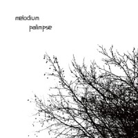 Purchase Melodium - Palimpse