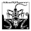 Buy Skullflower - Xaman Mp3 Download