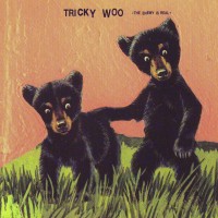 Purchase Tricky Woo - The Enemy Is Real