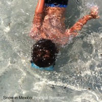 Purchase Snow In Mexico - Prodigal Summer (EP)