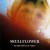 Buy Skullflower - Transformer Mp3 Download