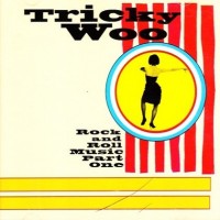 Purchase Tricky Woo - Rock And Roll Music Pt. 1