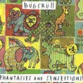 Buy Bügsküll - Phantasies And Senseitions Mp3 Download