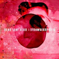 Purchase Dead Leaf Echo - Strawberry Skin (CDS)