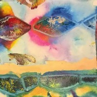 Purchase Custard Flux - Echo