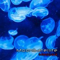 Buy Moonsatellite - Medusa (EP) Mp3 Download