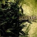 Buy Sacrificium - Prey For Your Gods Mp3 Download