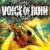 Buy Voices Of Ruin - Voice Of Ruin Mp3 Download