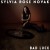 Buy Sylvia Rose Novak - Bad Luck Mp3 Download