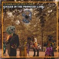 Buy Trembles Of Fortune - Sucker In The Promised Land Mp3 Download