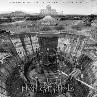 Purchase Order Ov Riven Cathedrals - Thermonuclear Sculptures Blackness