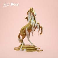 Purchase The Last Bison - Süda (Vinyl)