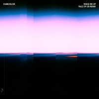 Purchase Cubicolor - Wake Me Up (Tale Of Us Remix) (CDS)