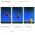 Buy Rainer Bruninghaus - Freigeweht (Vinyl) Mp3 Download