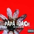 Buy Papa Roach - She Loves Me Not CD1 Mp3 Download