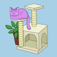 Purchase Purrple Cat - Up All Night