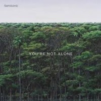 Purchase Semisonic - You're Not Alone