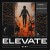 Buy Dlmt - Elevate (CDS) Mp3 Download