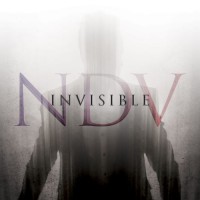 Purchase Nick D'Virgilio - Invisible