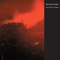 Purchase Twilight Ritual - The Factory Scream