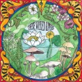 Buy These Wicked Rivers - Eden Mp3 Download