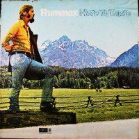 Purchase Frummox - Here To There (Vinyl)