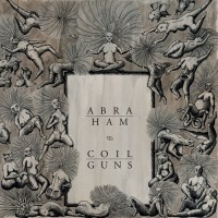 Purchase Coilguns - Abraham & Coilguns (Split)