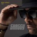 Buy Shaggy - Hot Shot 2020 (Deluxe Edition) Mp3 Download