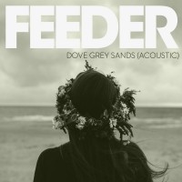 Purchase Feeder - Dove Grey Sands (Acoustic Version)