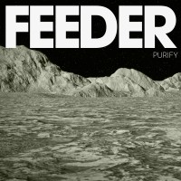 Purchase Feeder - Purify (CDS)