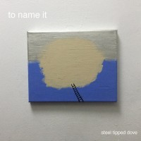 Purchase Steel Tipped Dove - To Name It