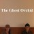 Buy The Ghost Orchid - Untitled Mp3 Download