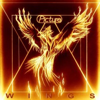 Purchase Picture - Wings