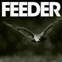Purchase Feeder - Fly (CDS)