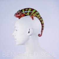 Purchase Benighted Soul - Cluster B