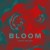 Buy Sarah Kroger - Bloom Mp3 Download