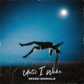 Buy Until I Wake - Mixed Signals (CDS) Mp3 Download