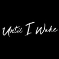 Buy Until I Wake - Sinking Under (CDS) Mp3 Download