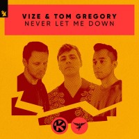 Purchase Vize & Tom Gregory - Never Let Me Down (CDS)