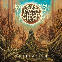 Purchase Faceless Burial - Speciation