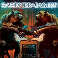 Purchase Janet Gardner & Justin James - Synergy