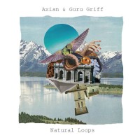 Purchase Axian - Natural Loops (With Guru Griff)