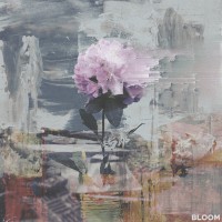 Purchase Curses - Chapter II: Bloom